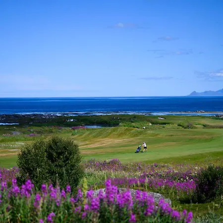 Lillevik Lofoten Hébergement de vacances
