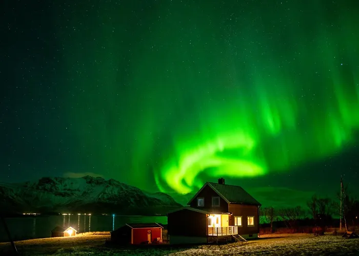 Lillevik Lofoten Vakantiehuis