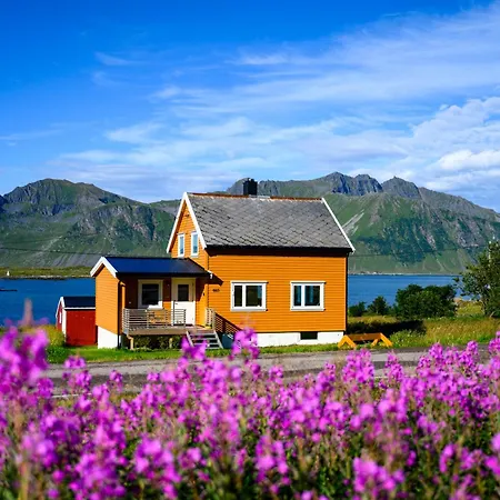Lillevik Lofoten *